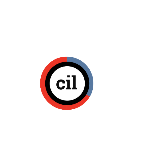Cecure Intelligence Limited